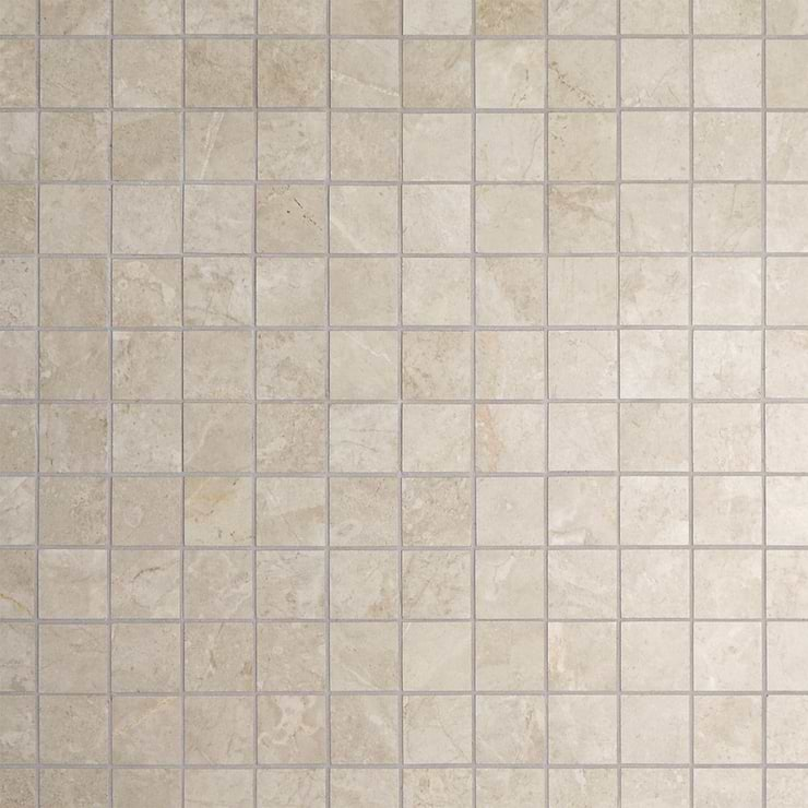 Thor Bone Beige 2x2 Matte Porcelain Mosaic Tile