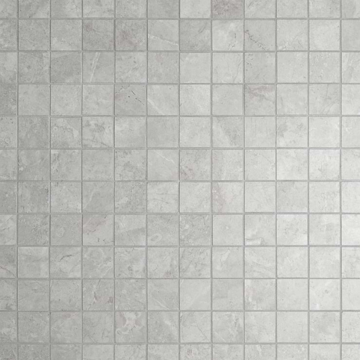 Thor Fossil Gray 2x2 Matte Porcelain Mosaic Tile