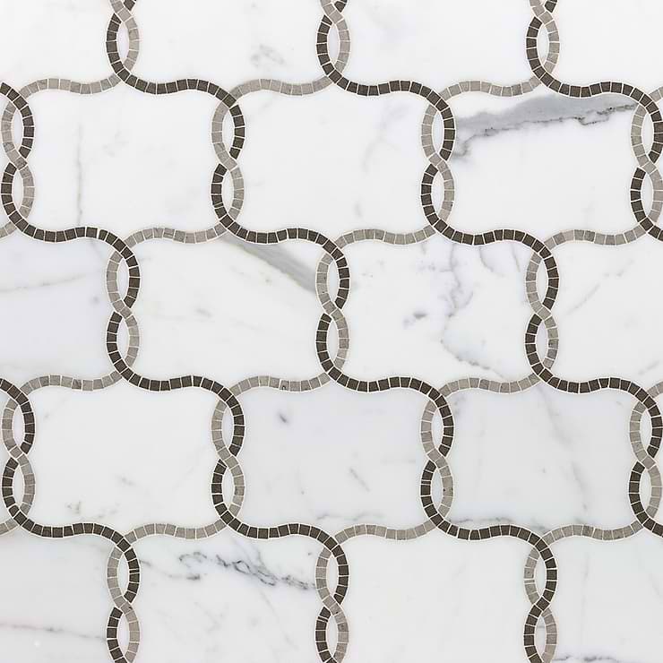 Catena Gray Polished Marble Tile