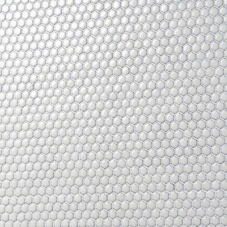 Eden Winter White Rimmed 1" Hexagon Polished Porcelain Mosaic