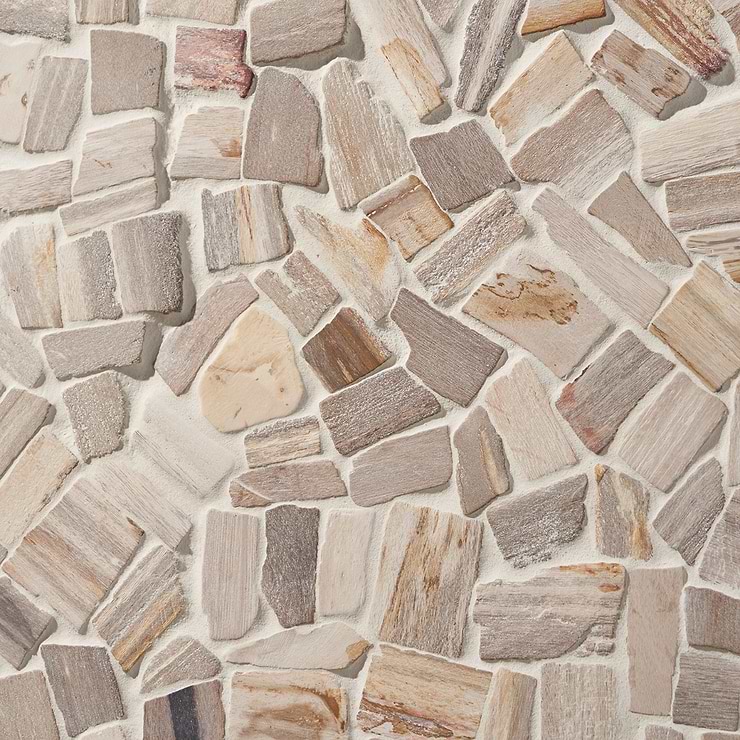 Fossil Tumbled Petrified Stone Mosaic