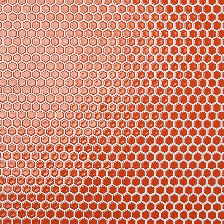 Eden Orange Nectar Rimmed 1" Hexagon Polished Porcelain Mosaic