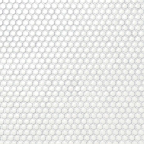 Eden  Winter White 1" Rimmed Hexagon Polished Porcelain Mosaic