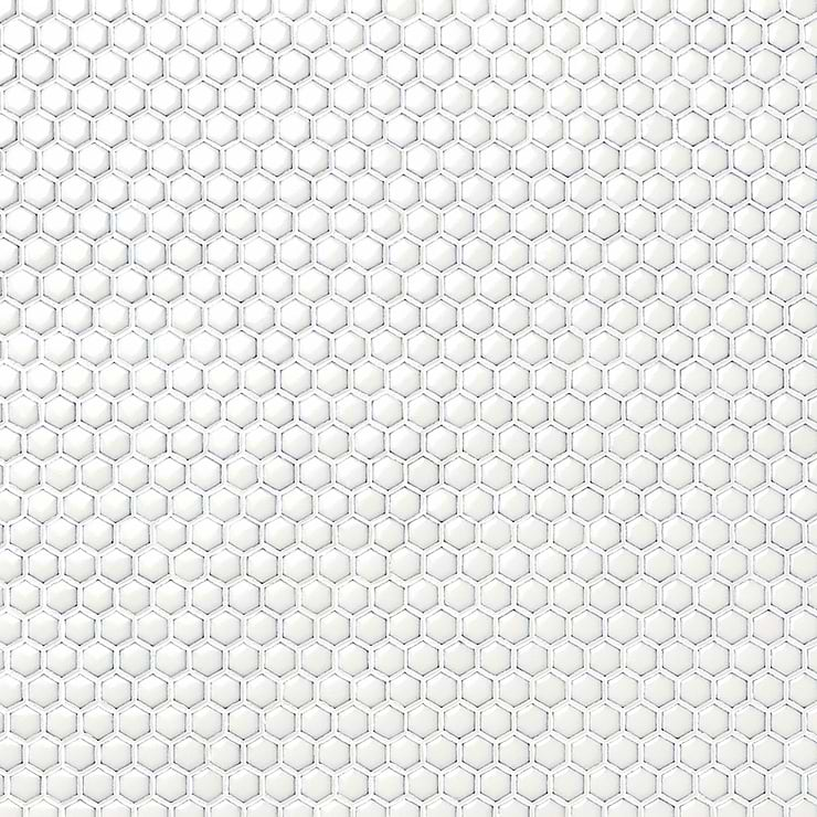 Eden Winter White Rimmed 1" Hexagon Polished Porcelain Mosaic