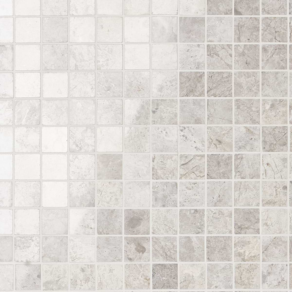 Tundra Gray 1x1 Polished Limestone Mosaic