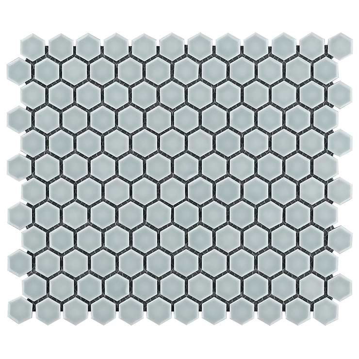 Eden Modern Gray Rimmed 1" Hexagon Polished Porcelain Mosaic