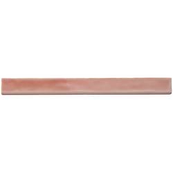 Carolina Coral Pink 2x20 Polished Ceramic Bullnose
