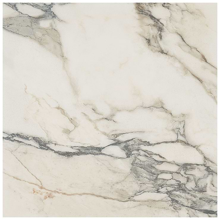 DreamStone Calacatta Rustico 24x24 Matte Porcelain Tile