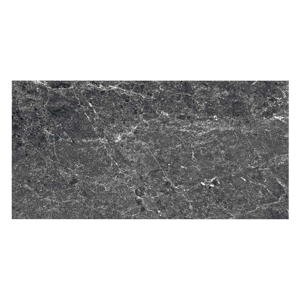 ZenTech Graphite Gray 12x24 Matte Porcelain Tile