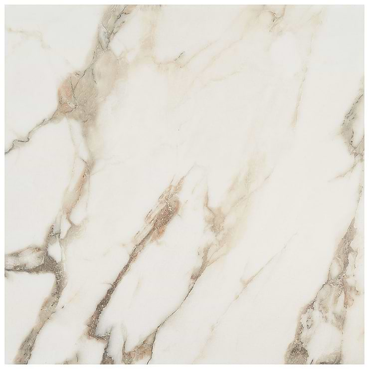 DreamStone Calacatta Rustico 24x24 Polished Porcelain Tile