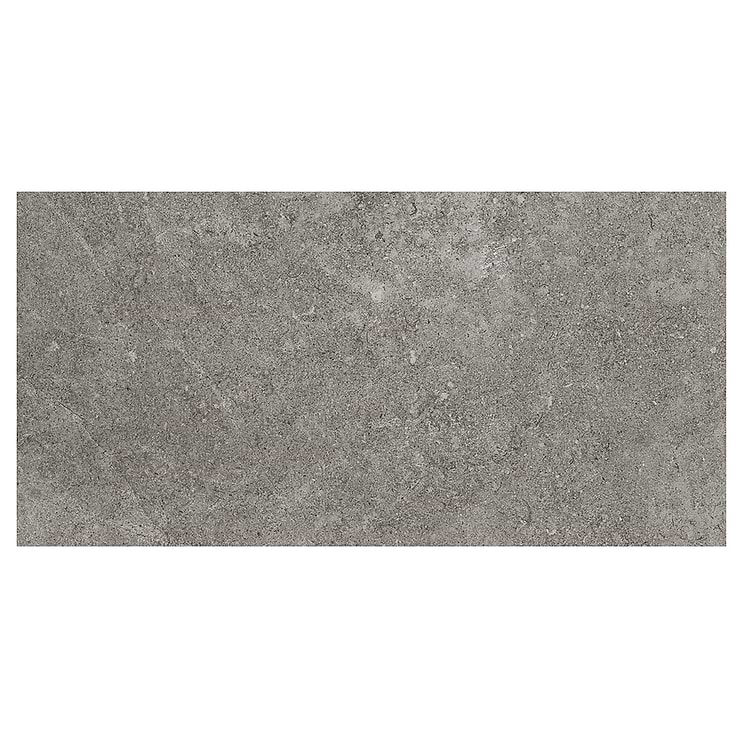 Sample-New Rock Fossil Dark Gray Limestone Look Matte Porcelain Tile