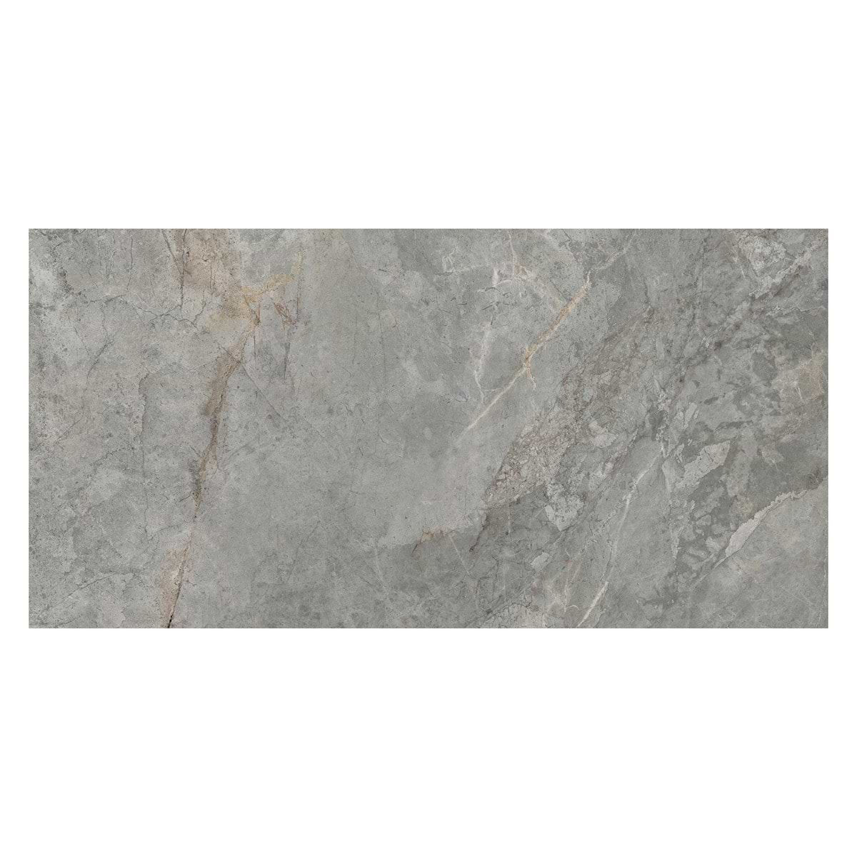 Thor Fossil Gray 12x24 Matte Porcelain Tile