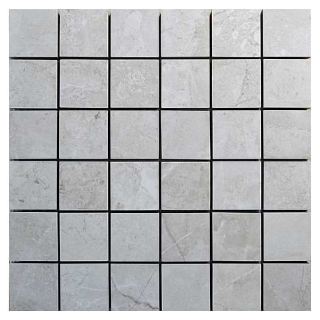 Thor Fossil Gray 2x2 Matte Porcelain Mosaic Tile