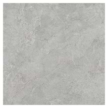 Thor Fossil Gray 36x36 Matte Porcelain Tile