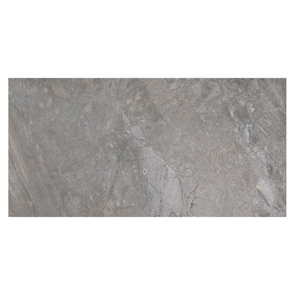 Santo Pearl Gray 24x48 Matte Porcelain Tile