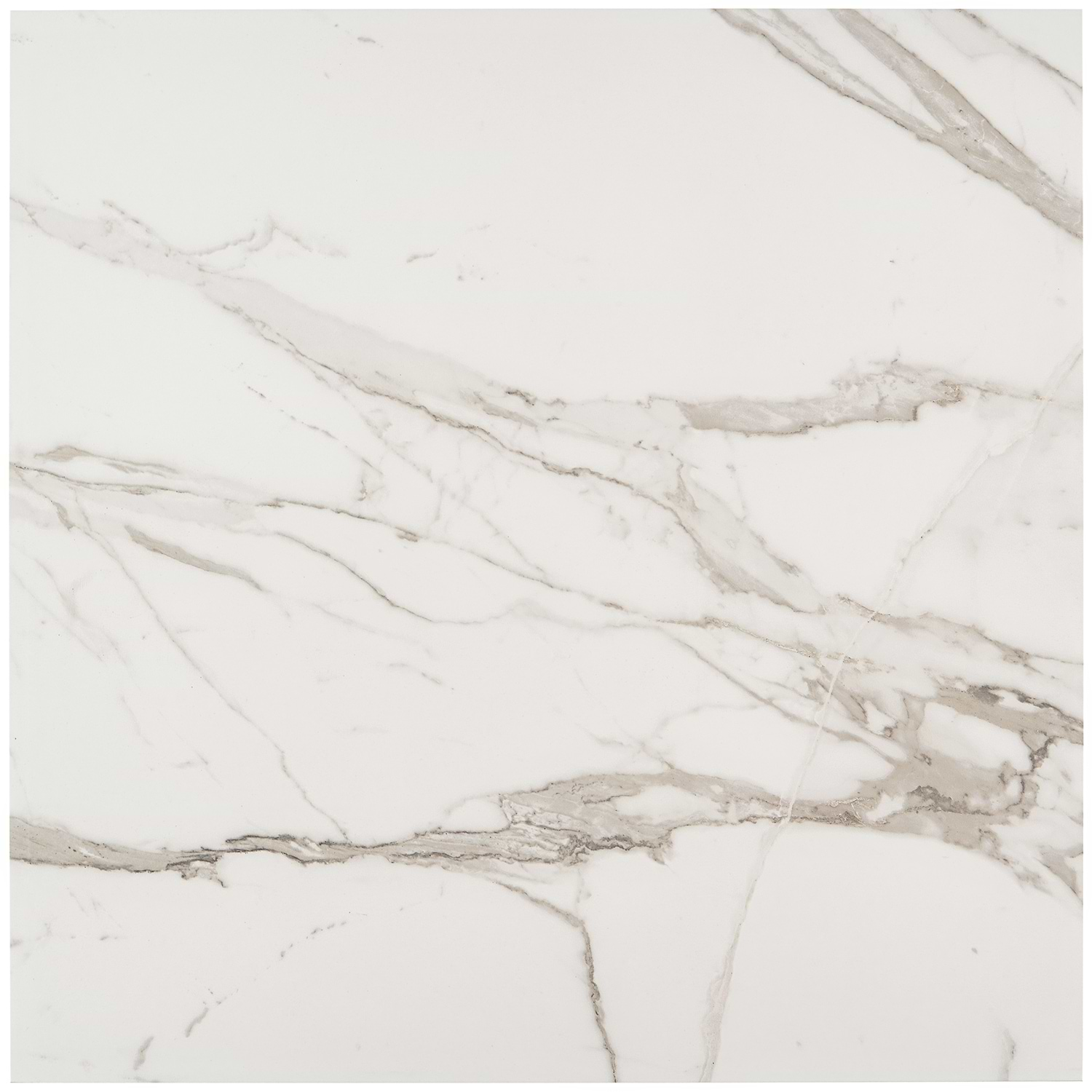 Shop Versilia Statuario Matte 24x24 Porcelain Tile | TileBar.com