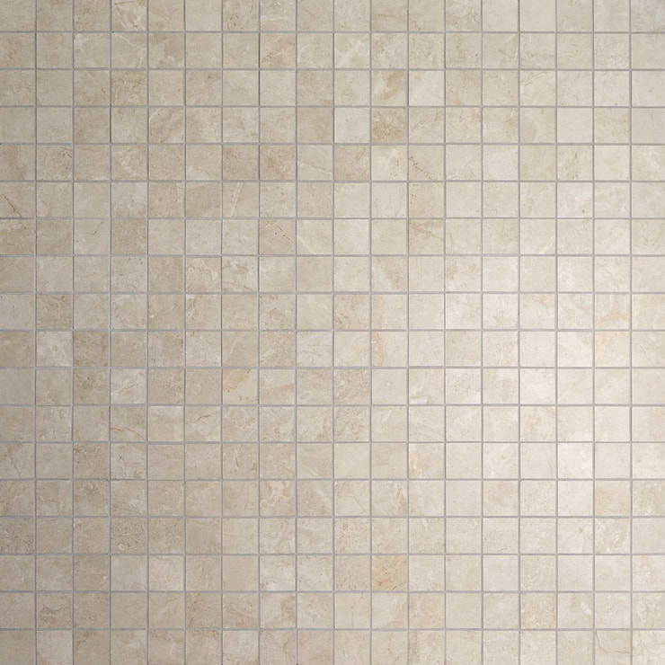 Thor Bone Beige 2x2 Matte Porcelain Mosaic Tile