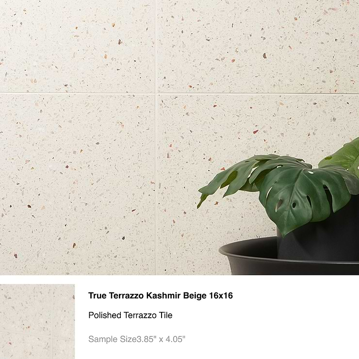 Top Selling Beige Tiles Sample Bundle (5)