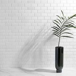 Marble Tile for Backsplash,Bathroom Wall,Floor,Kitchen Wall,Outdoor Wall,Shower Floor,Shower Wall