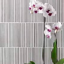 Arden Galao White 6x10" Porcelain Wall Tile