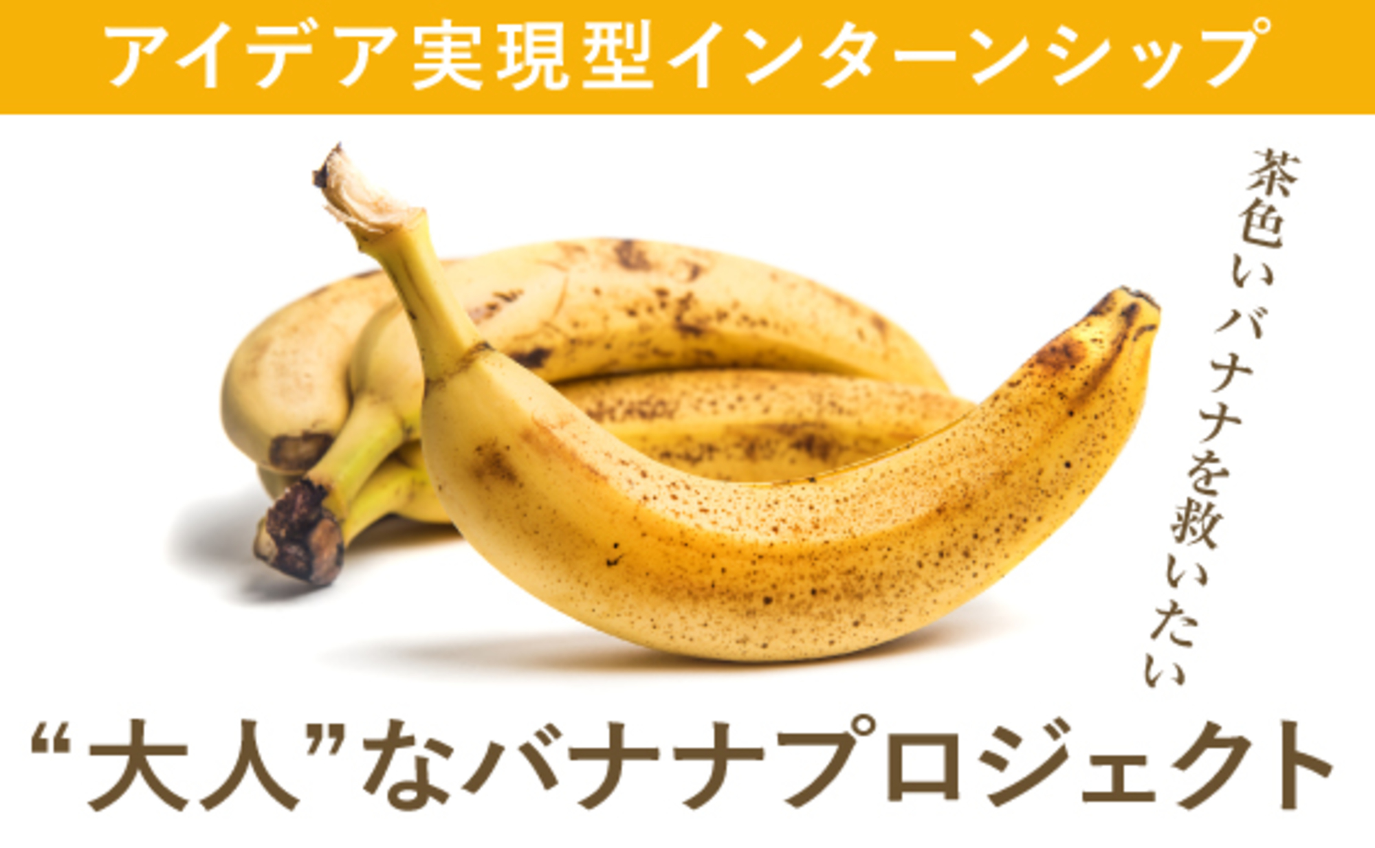 インターン生はアイデアをどう実現したのか？