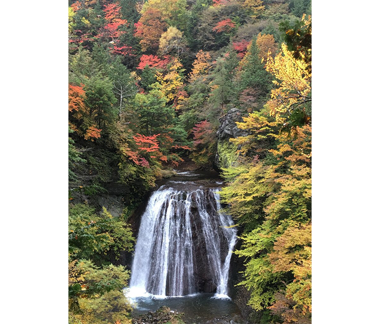 「認知が足りません」ってホントですか？
