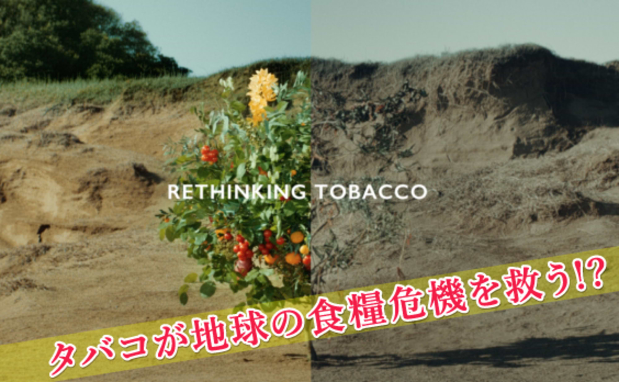 テクノロジーと人の距離を縮める。広告で目指す最先端技術の普及