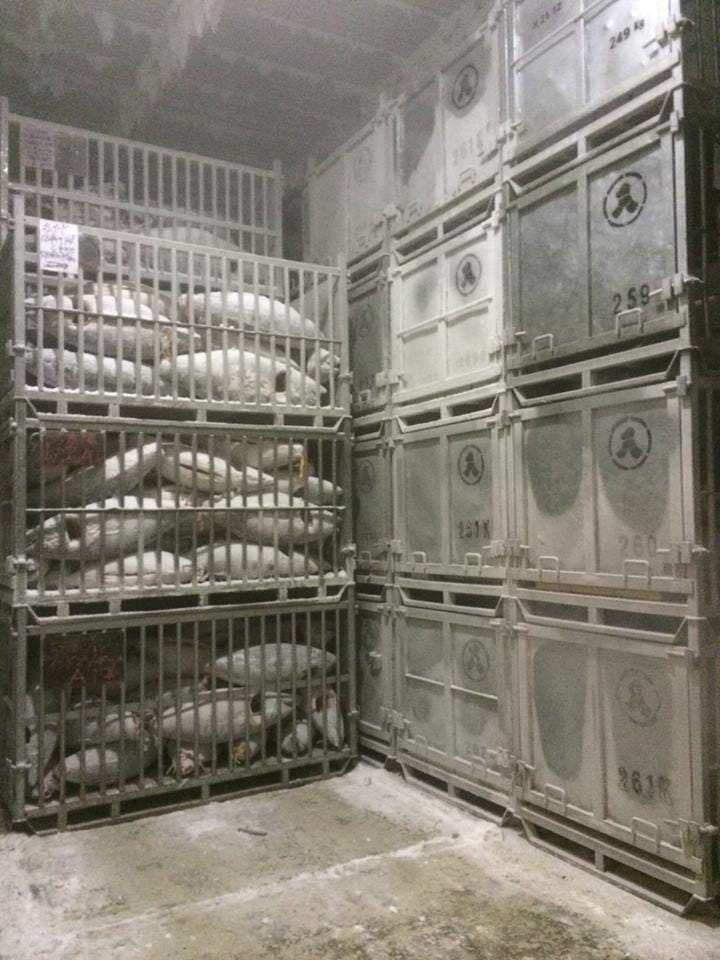 ホンマグロより旨いまぐろ