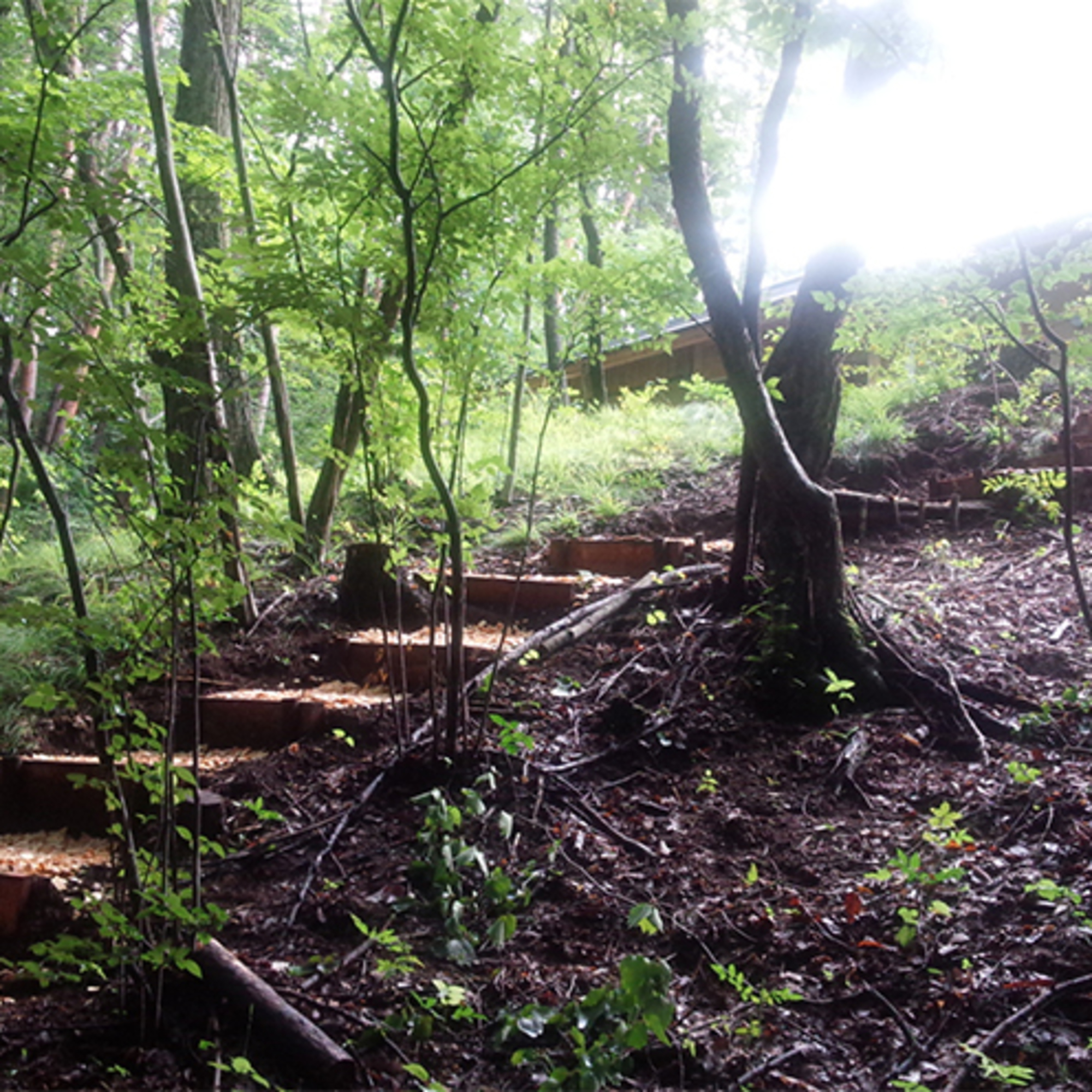 生活者は変わる、のか。