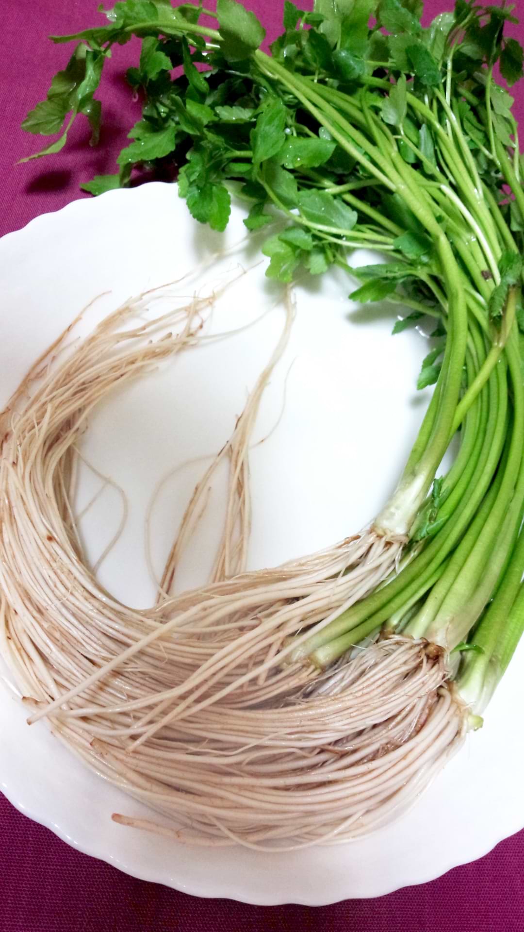 大学生に伝えたかったこと