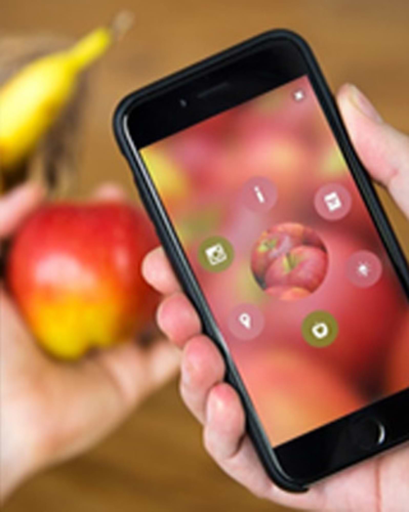 視覚認識の進歩