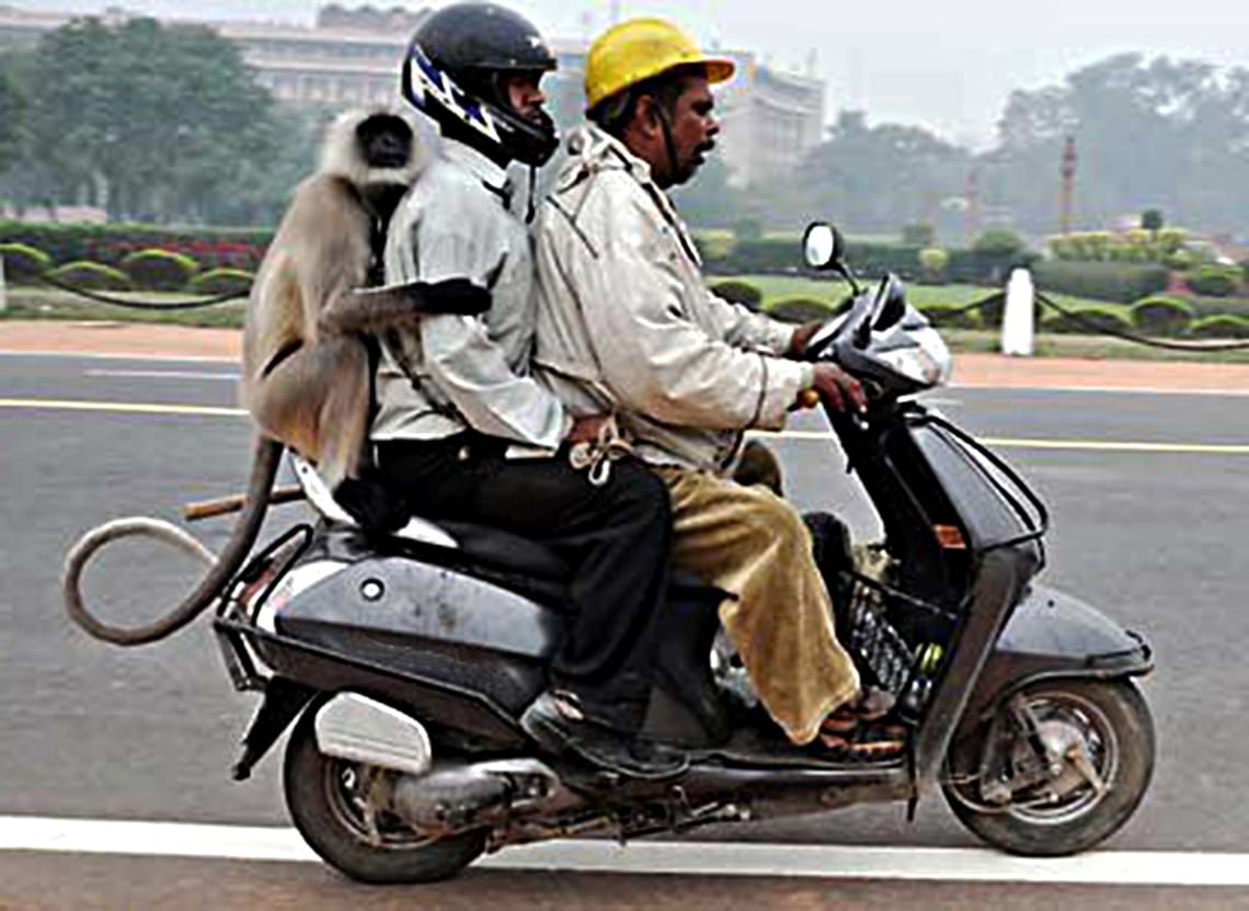 奇妙きてれつで
愉快な国（インド）