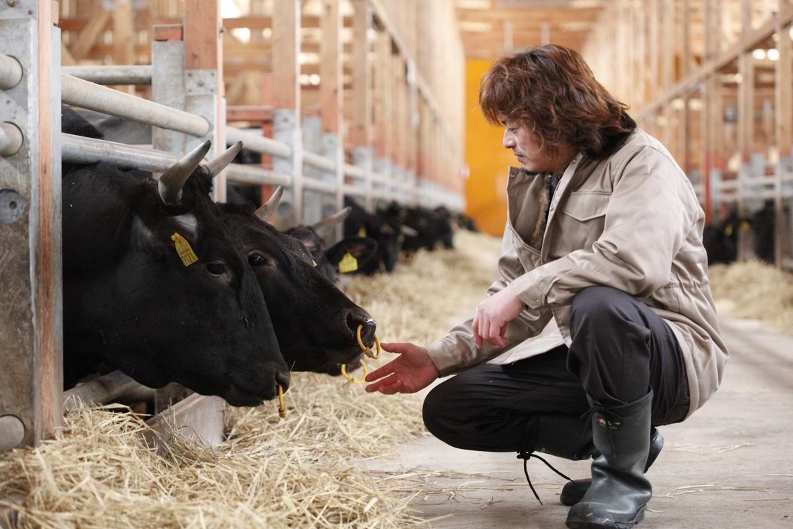 生活者は本当に美味しい和牛を知らない？！（前半）