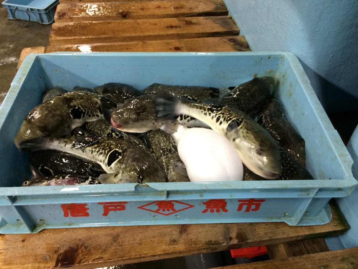 縁起のよい食卓を贈ろう