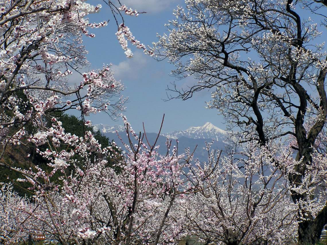 つくりながら、考える