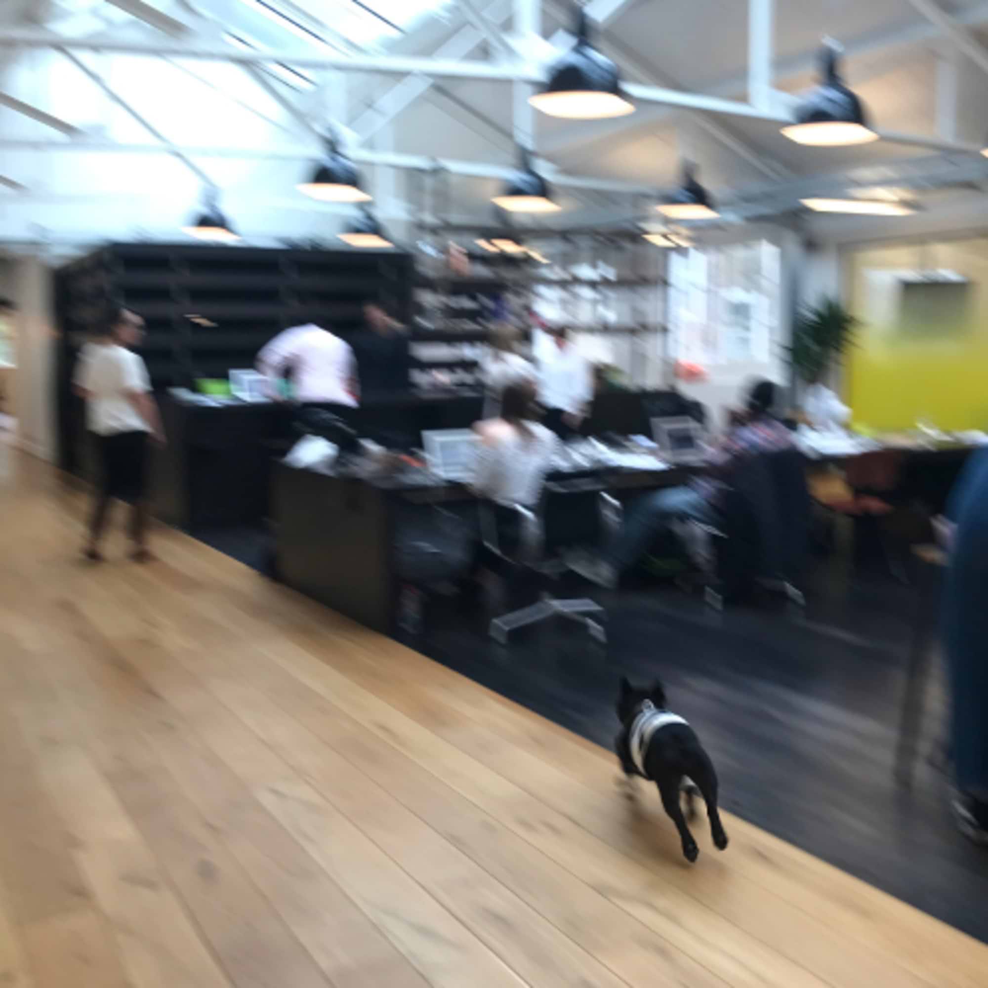 ロンドンの広告会社で働いてみて