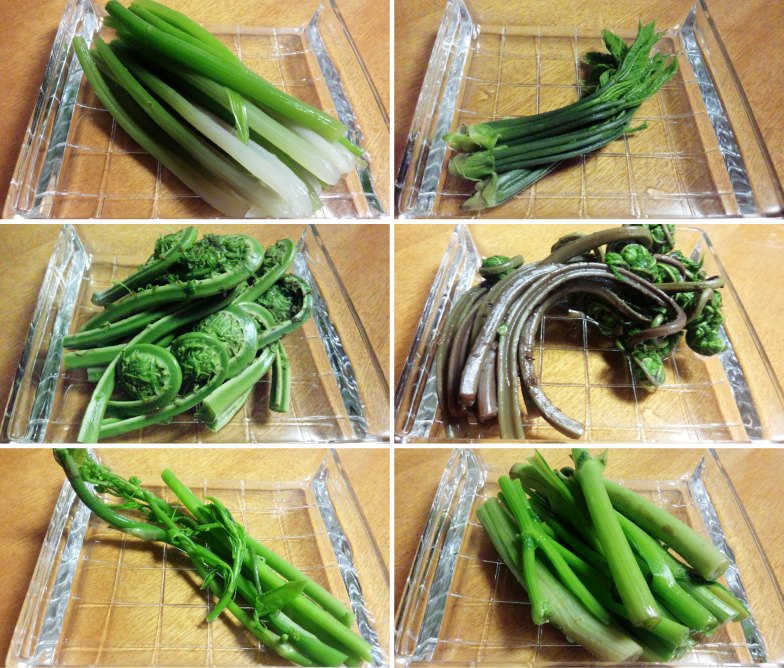 論理なくして、発想なし