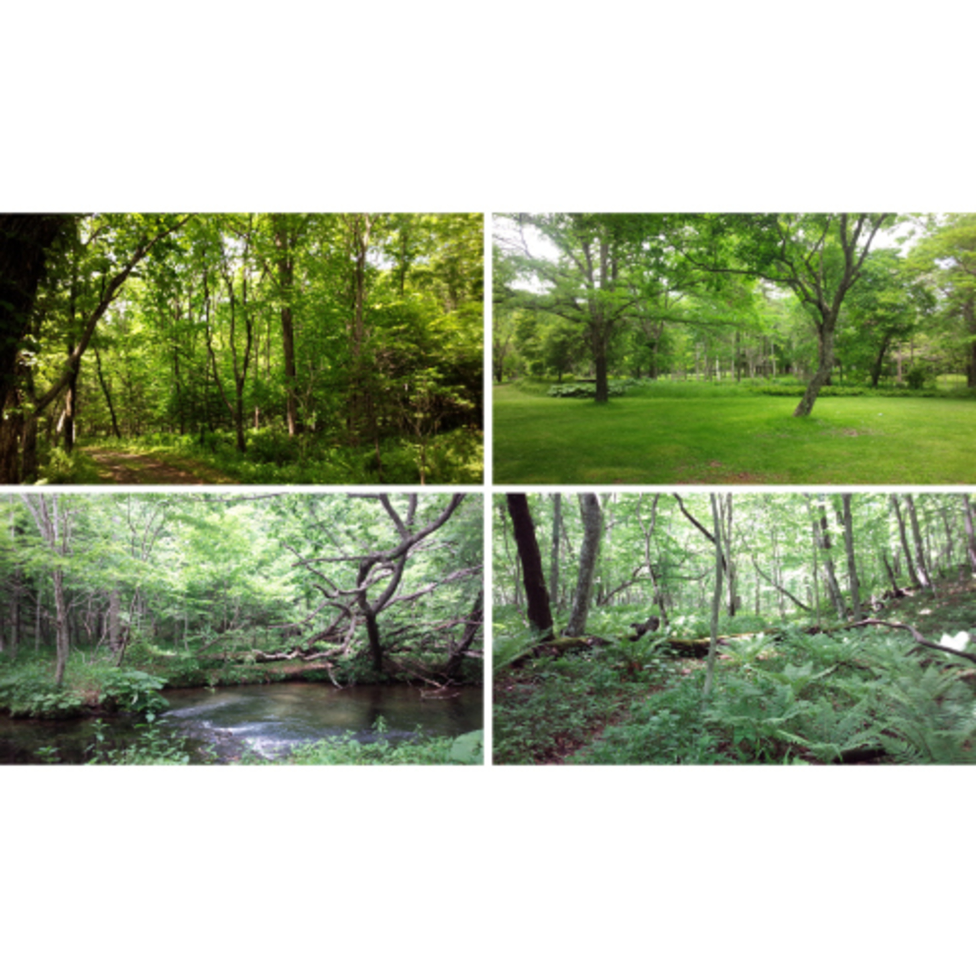 大きな過ちは、計画が忠実に実行されるとき起こる