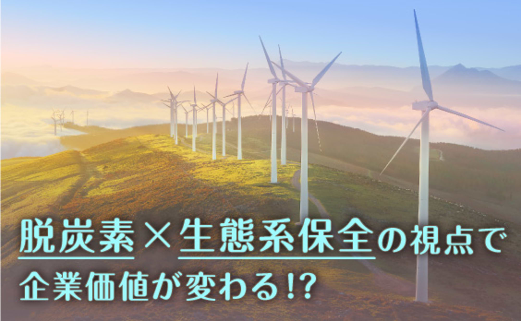 「脱炭素」×「生態系保全」の視点で、企業価値が変わる！？
