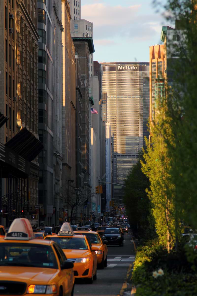 クリエーティブ野郎二人組
ラウルとミハイ（後編）