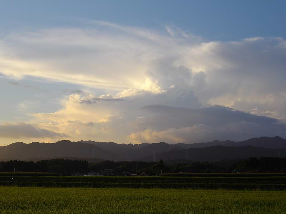 何かを始めようと思ったら、とりあえず直電してみよう