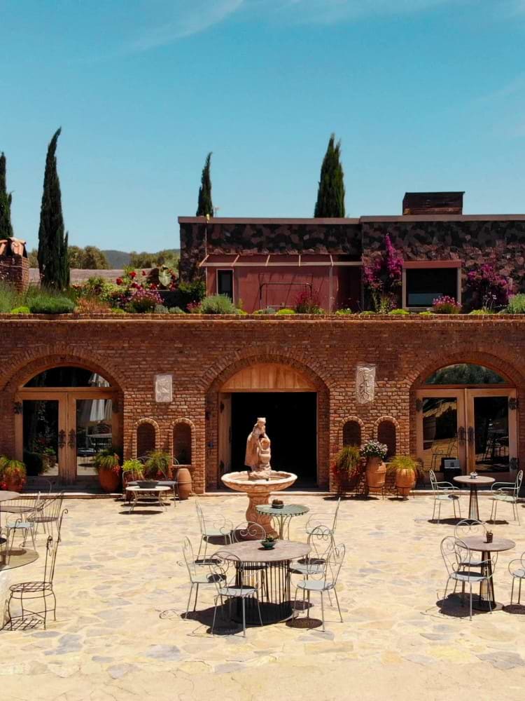 Bodrum Wine Tasting and Tantalizing Tapas