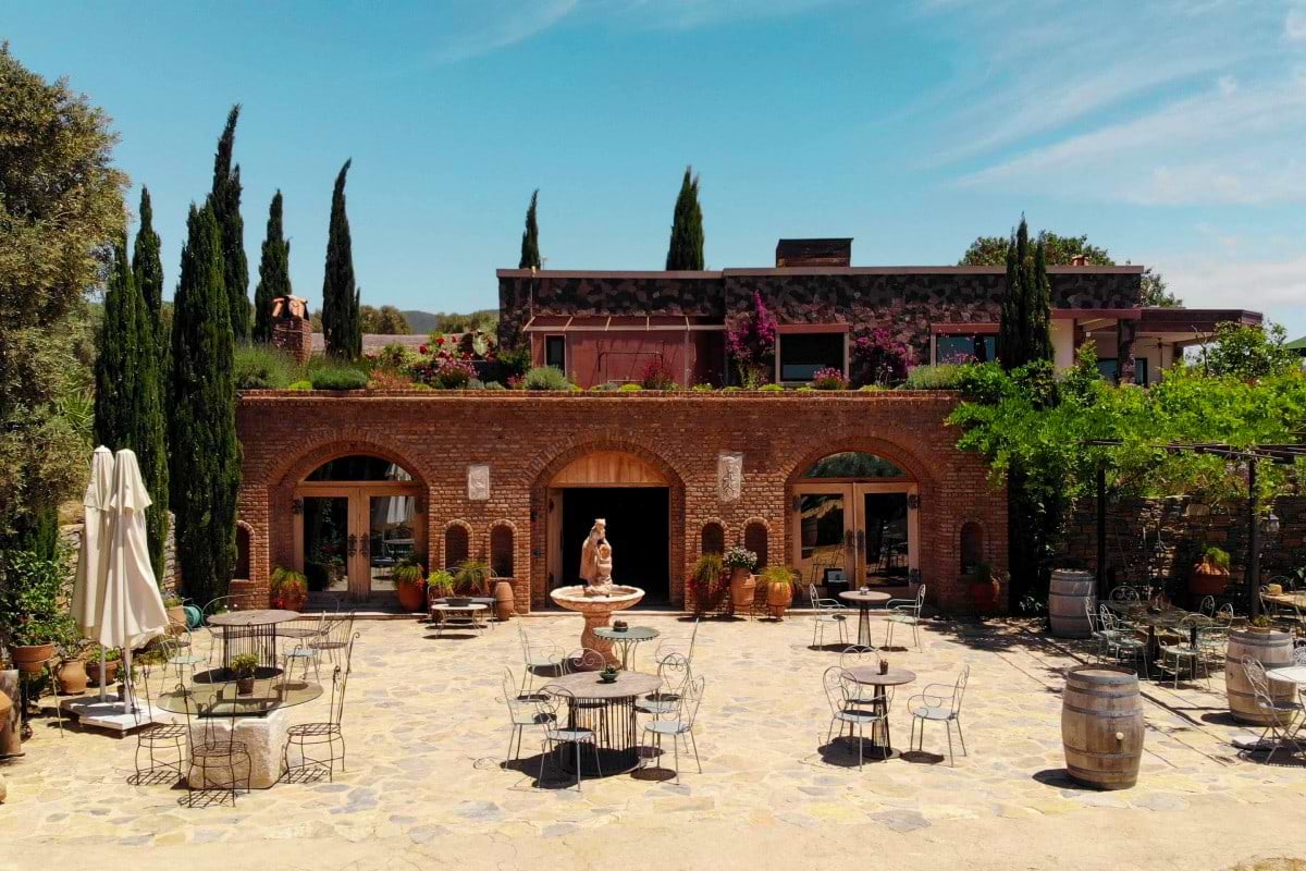 Bodrum Wine Tasting and Tantalizing Tapas