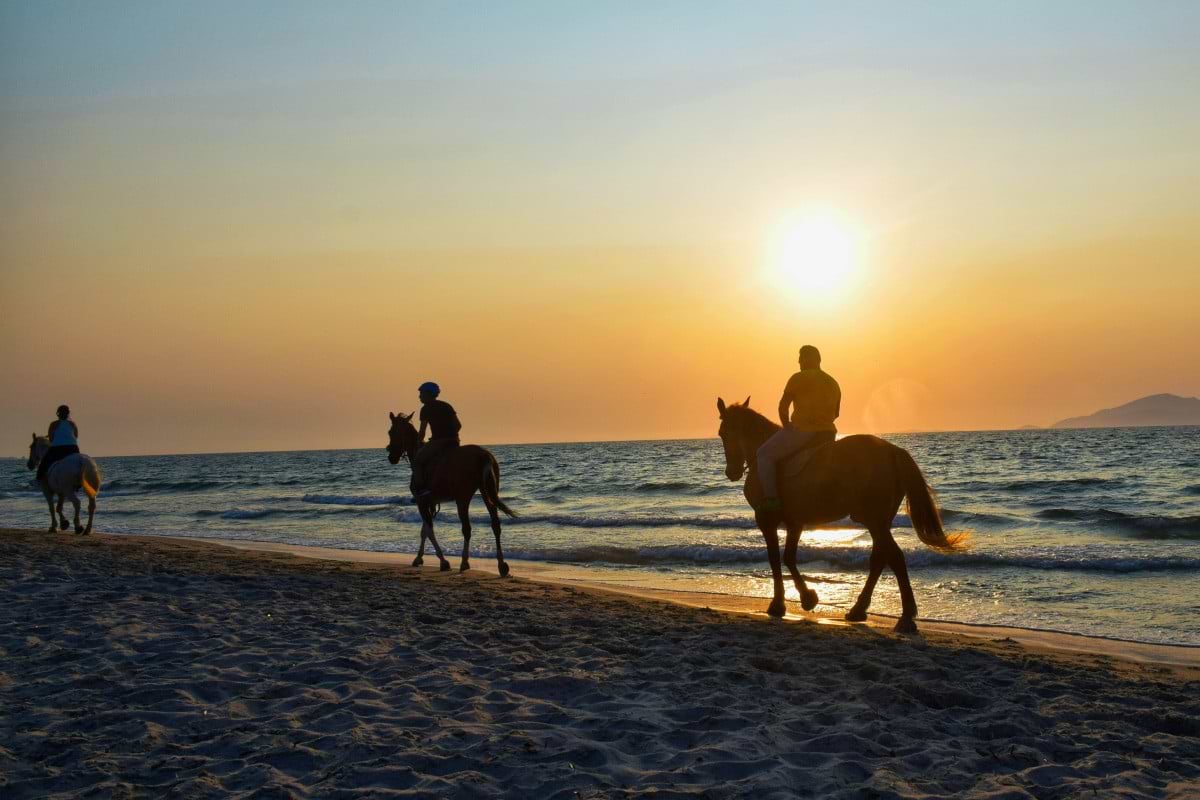 Horseback ride down the beach