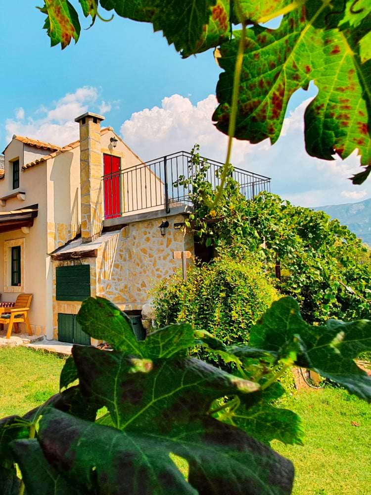 Winemakers of Konavle Valley in Dubrovnik