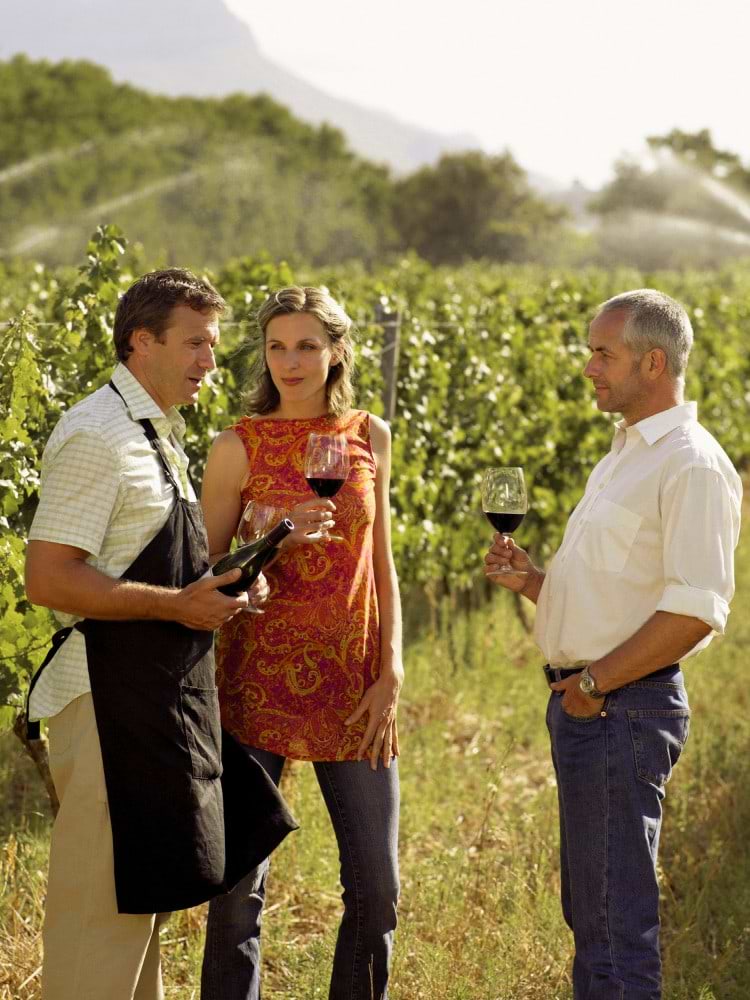 Chatting in a wine vinyard