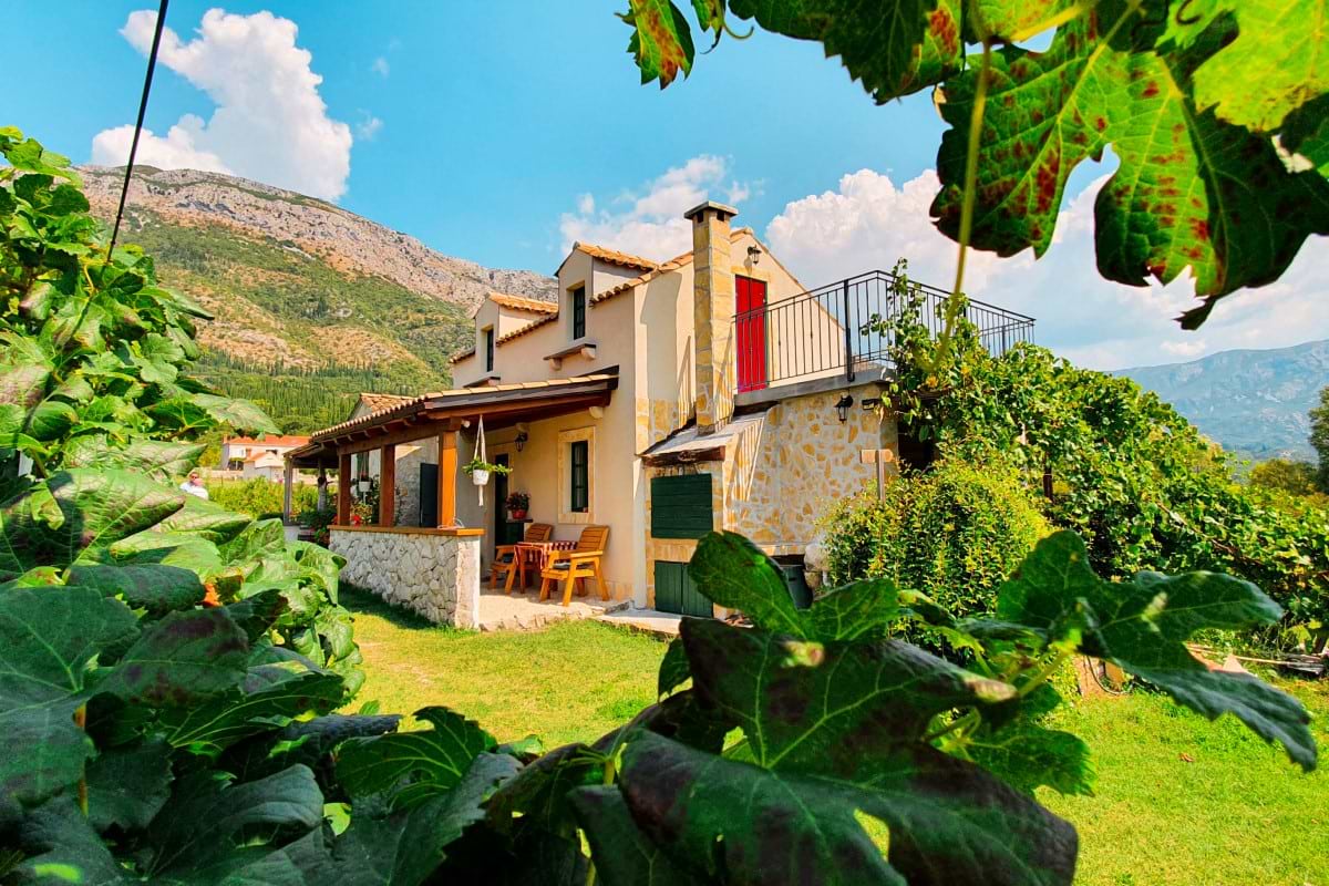 Winemakers of Konavle Valley in Dubrovnik