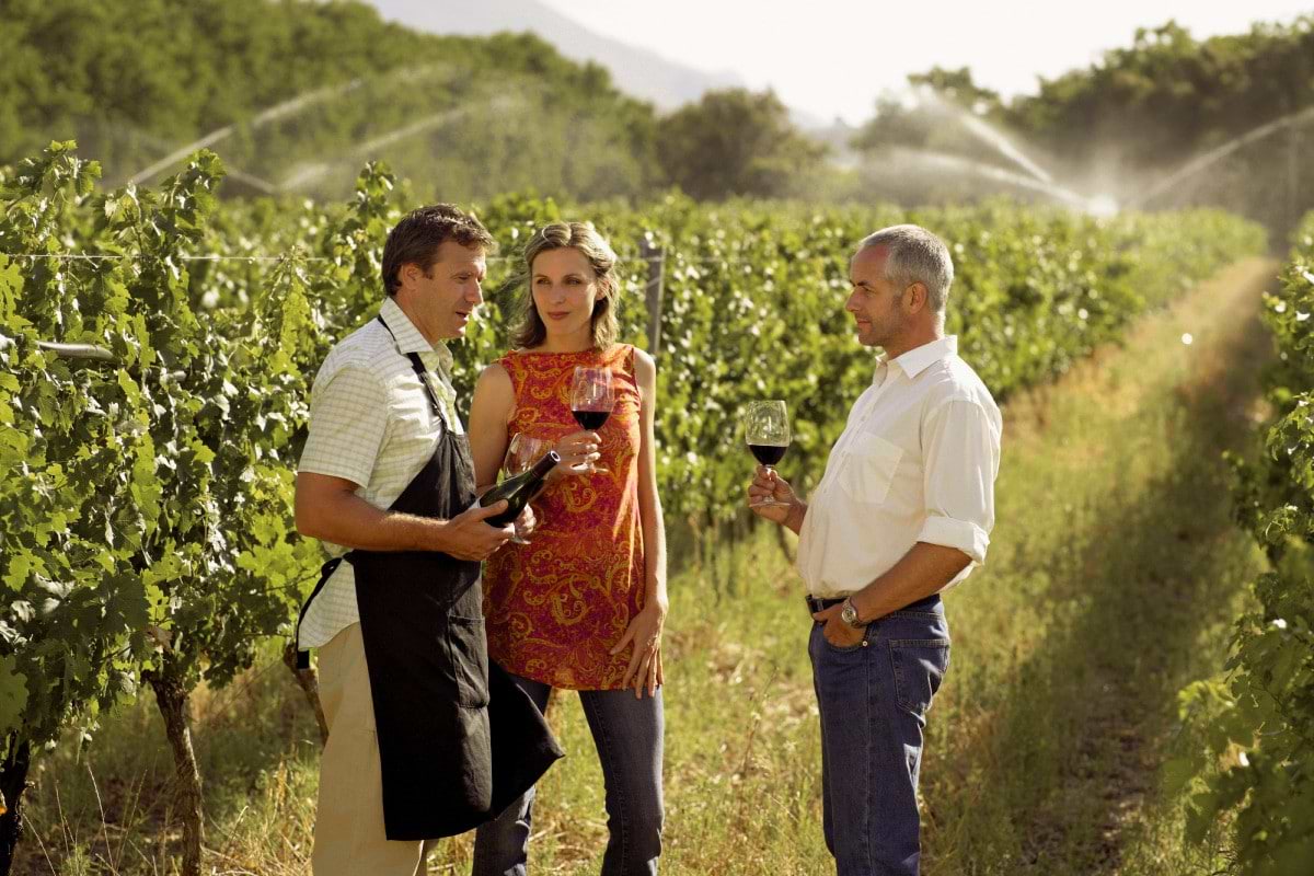 Chatting in a wine vinyard