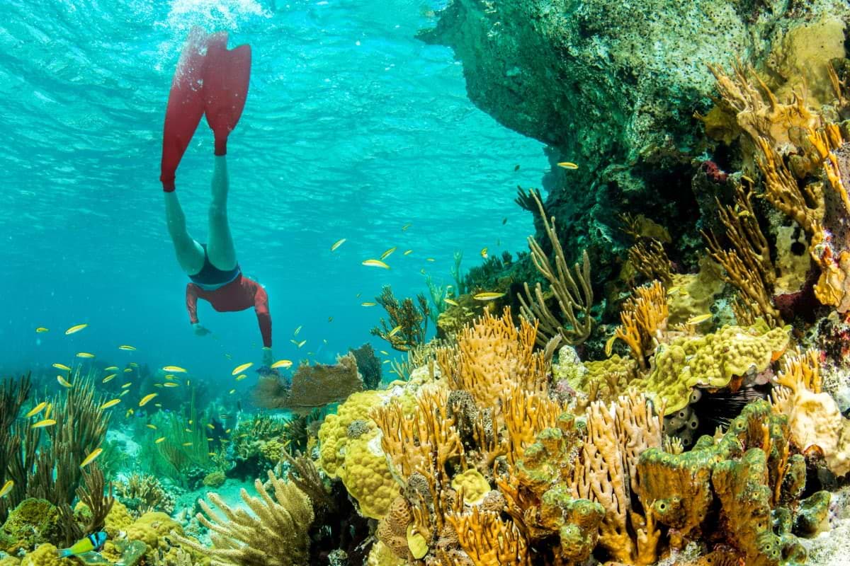 Nassau Snorkel Adventure
