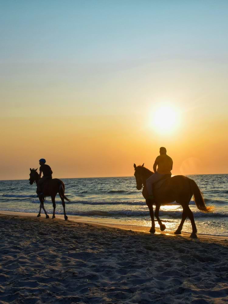 Horseback ride down the beach